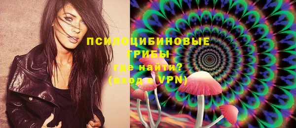 spice Зерноград