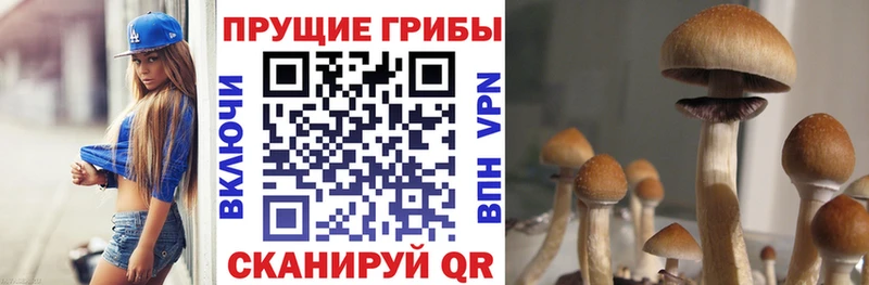Псилоцибиновые грибы прущие грибы Орёл